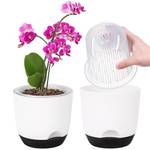 Qcqhdu Orchideentopf