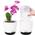 Orchideentopf von qcqhdu