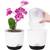 Qcqhdu Orchideentopf