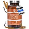 Cordyceps von QIDOSHA 
