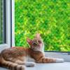 Katzennetz von QILUCKY