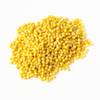 Goldhirse von Quast Meerrettich