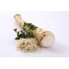 Horseradish von ‎Quast Meerrettich