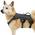 No Pull Hundegeschirr von rabbitgoo