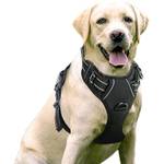 Rabbitgoo No-Pull Hundegeschirr