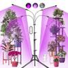 Pflanzenlampe von Railee