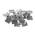 1453500 von Rayher