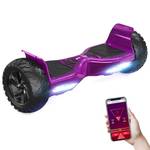 Hoverboard Gelände