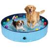 Hundepool von Rinling