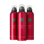 Rituals The Ritual of Ayurveda Duschschaum