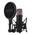 NT1 5 von RØDE