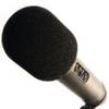 WS2 von RØDE