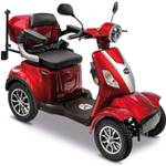 Rolektro E-Quad 15 V.3