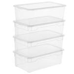 Rotho Clear Box 1774508080