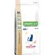 Royal Canin 287210 Produkttest