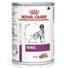 Renal von Royal Canin