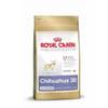 Chihuahua Junior von Royal Canin