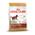 Dachshund Junior von Royal Canin