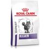 Dental von Royal Canin
