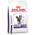 Dental von Royal Canin