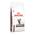 Gastrointestinal Feline von Royal Canin