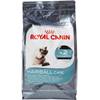 Hairball Care von Royal Canin