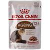 Indoor Longhair von Royal Canin