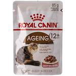 Royal Canin Indoor Longhair