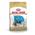 Shih Tzu Junior von Royal Canin