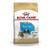 Royal Canin Shih Tzu Puppy