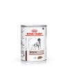 VET DIET Hepatic von Royal Canin