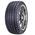 RB1558013 von Royal Black