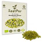 Saatpur Mungobohnen-Sprossen