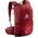Trailblazer 20  von Salomon