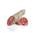 Salame Felino von Salumi Pasini