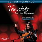 Savarez Flamenco T50J