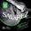 Acoustic Phosphor Bronze A140XL von Savarez