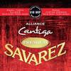 Alliance Cantiga Premium Standard 510ARP von Savarez