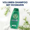 Volumen-Shampoo Fresh Volume von Schauma