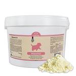 Schecker Dogreform Welpenmilch