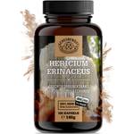 Hericium