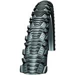 Schwalbe  Hs369