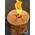 Schwedenfeuer Finnenfackel von Moritz