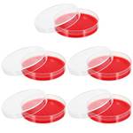 Scicalife Agarplatten