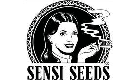 Cannabissamen kaufen