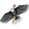 Drache Schwarzer Adler von Sgftre