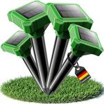 Maulwurfschreck