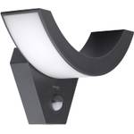 Oktaplex Lima Motion 17038.3K