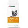 Amigard Spot-on von Solnova AG