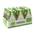 Apple Sparkling Cider von Somersby